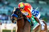 Forced Entry and jockey Juan Hernandez win the Grade III, $100,000 Santa Ysabel Stakes, Sunday, March 8, 2026 at Santa Anita Park, Arcadia CA>
g BENOIT PHOTO