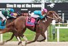 The Puma wins the 2026 Tampa Bay Derby at Tampa Bay Downs