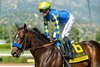 Cornucopian and jockey Juan Hernandez win the Grade III, $100,000 San Carlos Stakes, Sunday, March 29, 2026 at Santa Anita Park, Arcadia CA.
© BENOIT PHOTO