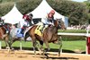 Publisher wins the 2026 American Pharoah Overnight Stakes at Oaklawn Park