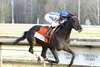 Incredibolt wins the 2026 Virginia Derby at Colonial Downs