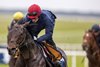 Gstaad (Ryan Moore, red cap) in the first group of Aidan O’Brien’s racecourse gallopers.
The Curragh.
Photo: Patrick McCann/Racing Post
29.03.2026