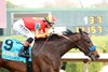 Explora wins the 2026 Honeybee Stakes at Oaklawn Park