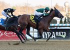 Iron Honor wins the 2026 Gotham Stakes at Aqueduct Racetrack
