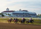 Commandment wins the 2026 Florida Derby at Gulfstream Park
