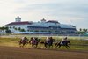 Commandment wins the 2026 Florida Derby at Gulfstream Park