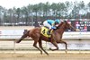 Tour Player wins the 2026 Royal New Kent Stakes at Colonial Downs