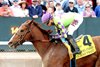 Tejano Twist wins the 2026 Whitmore Stakes at Oaklawn Park
