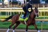 Renegade
Training at Churchill Downs in Louisville, Ky., on April 30, 2026.