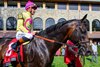 Zulu Kingdom with Flavien Prat wins the Maker’s Mark Mile (G1T) at Keeneland on April 10, 2026, in Lexington, Ky.