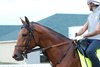 Ottinho - Gallop - Churchill Downs - 04-22-26
