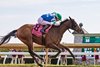 Trendsetter (Modernist - Suyapa, by Astrology) wins the Stonestreet Lexington Stakes (Gr.III) with jockey Kazushi Kimura for trainer Ben Colebrook and owner Midway Racing LLC (Davant Latham)