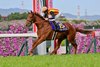 Star Anise wins the Oka Sho (Japanese One Thousand Guineas) on Sunday, April 12, 2026 at Hanshin Racecourse