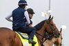 Potente waits to enter the track at Churchill Downs for Derby works time
