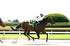 Where Luck Lives, Maiden Win, Keeneland, April 3 2026