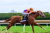 Further Ado with Irad Ortiz, Jr. wins the Blue Grass (G1) at Keeneland in Lexington, Ky. on April 4, 2026