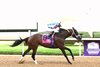 Claret Beret wins the 2026 Apple Blossom Handicap at Oaklawn Park