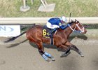 Shane's Wonder, AOC, Parx Racing, March 25 2026