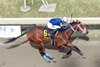 Shane's Wonder, AOC, Parx Racing, March 25 2026