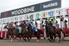 Jockey Jose Campos breaks from the starting gate on #5 Haley's Honor to capture the 1st race of the 128 day Thoroughbred race meet at Woodbine, April 18 2026