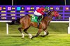 4-11-26 - Isaac Castillo crossed the finish line aboard ALLNIGHT MOONLIGHT at Evangeline Downs on Saturday night, winning the Don Stemmans Memorial Stakes Race. Kimmy Burrow / Hodges Photography