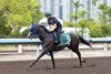 Masquerade Ball at Sha Tin