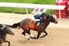 Crupper wins the 2026 Bathhouse Row Stakes at Oaklawn Park