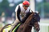Chief Wallabee at Churchill Downs, Louisville, KY, on April 26th, 2026