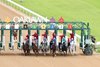 White Abarrio wins the 2026 Oaklawn Handicap at Oaklawn Park