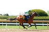 Waggley, Maiden Win, Keeneland, April 8 2026
First winner for Life Is Good