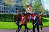 Expensive Queen in paddock. Expensive Queen #1 with Luis Saez and Segesta #10 with Flavien Prat deadheat in the Jenny Wiley (G1T) on April 11, 2026, in Lexington, Ky.
