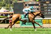 Thought Process and jockey Hector I. Berrios win the Grade I $300,000 Gamely Stakes Saturday May 25, 2026 at Santa Anita Park, Arcadia, CA.
Benoit Photo