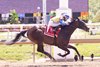 Striker Has Dial wins the 2026 Skipat Stakes at Laurel Park
