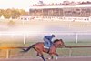 Taj Mahal, May 12 2026, Laurel Park