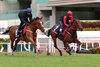 Romantic Warrior (inside) works on the turf at Sha Tin