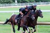 Golden Tempo (inside), May 30 2026, Keeneland