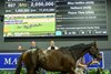 2026 Magic Millions Gold Coast National Broodmare Sale, Lot 607
