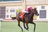 Alpyland #7 with Javier Castellano riding won the $400,000 Penn Mile at Penn National Racecourse on Friday May 29, 2026. Photo By Nikki Sherman/EQUI-PHOTO.