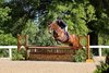 Demon Zephyr, owned by Layne Brogden and ridden/trained by Laura Douglas, finished first in the 2026 TAKE2 Kentucky Thoroughbred Hunter Classic at the Kentucky Horse Shows' Spring Show held at the Kentucky Horse Park in Lexington, Ky.