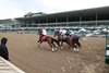 The start of the first race on Opening Day at Monmouth Park Racetrack in Oceanport, NJ. 5/9/26 Photo By Bill Denver/EQUI-PHOTO