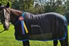 The Thoroughbred Incentive Program’s 2024 Thoroughbred of the Year Award winner Rockaway Park, who excelled in police work