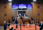 Hip 54 2026 Fasig-Tipton Midlantic Two-Year-Olds in Training Sale, Timonium Maryland.