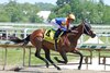 Obliteration #4 with Jose Ortiz riding won the Chick Lang Stakes at Laurel Racecourse on Saturday May 16, 2026. Photo By Bill Denver/EQUI-PHOTO