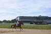 Aqueduct warming up, Register, grandstand, 5-25-26