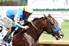 Cornucopian wins the 2026 Aristides Stakes at Churchill Downs