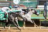 Original Sin wins the 2026 Blame Stakes at Churchill Downs