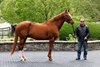 May 4 2026 Curlin at Hill 'n' Dale at Xalapa