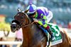 Stronghold and jockey Antonio Fresu win the Grade III, $100,000 Triple Bend takes, Sunday, May 31, 2026 at Santa Anita Park, Arcadia CA.
© BENOIT PHOTO