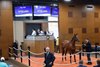Hip 583, 2026 Fasig-Tipton Midlantic Two-Year-Olds in Training Sale, Timonium Maryland.