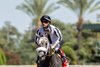 Forged Steel and jockey Flavien Prat win the Grade II $100,000 Hollywood Gold Cup Monday, May 25, 2025 at Santa Anita Park, Arcadia, CA. The Kentucky-bred colt is owned by C2 Racing Stable and Mathis Stables and trained by Saffie A. Joseph, Jr.
Benoit Photo